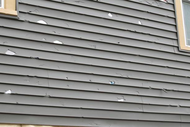 Best Siding for New Construction  in Ely, NV