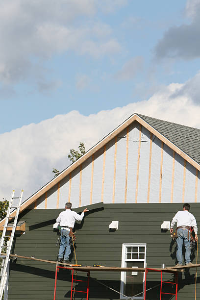 Best Insulated Siding Installation  in Ely, NV